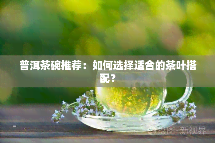 普洱茶碗推荐：如何选择适合的茶叶搭配？