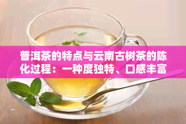 普洱茶的特点与云南古树茶的陈化过程：一种度独特、口感丰富的优质茶叶