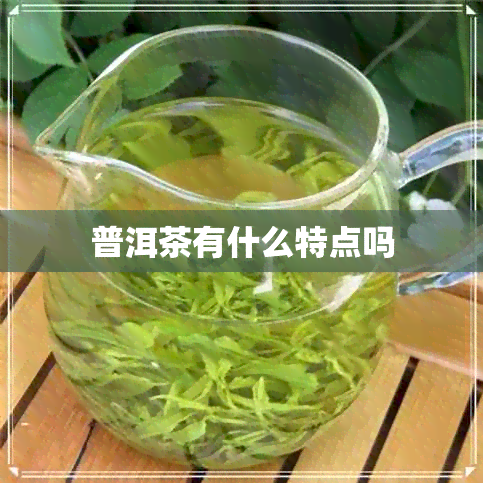 普洱茶有什么特点吗