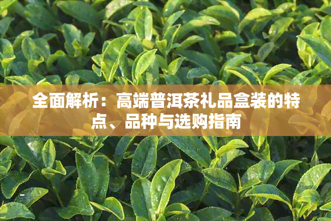 全面解析：高端普洱茶礼品盒装的特点、品种与选购指南