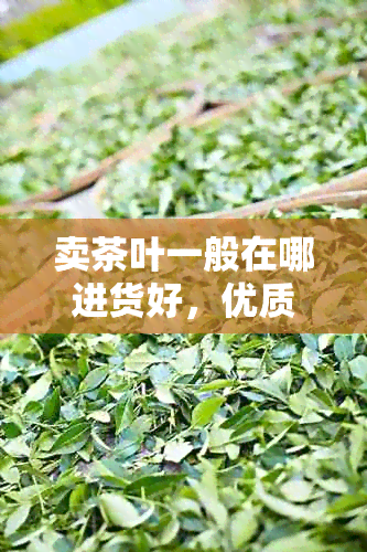 卖茶叶一般在哪进货好，优质供应商推荐