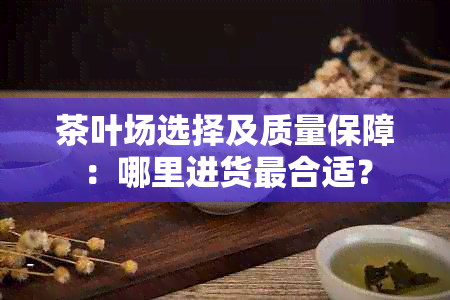 茶叶场选择及质量保障：哪里进货最合适？