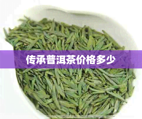 传承普洱茶价格多少