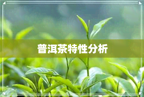 普洱茶特性分析