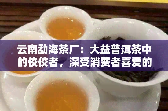 云南勐海茶厂：大益普洱茶中的佼佼者，深受消费者喜爱的茶叶推荐