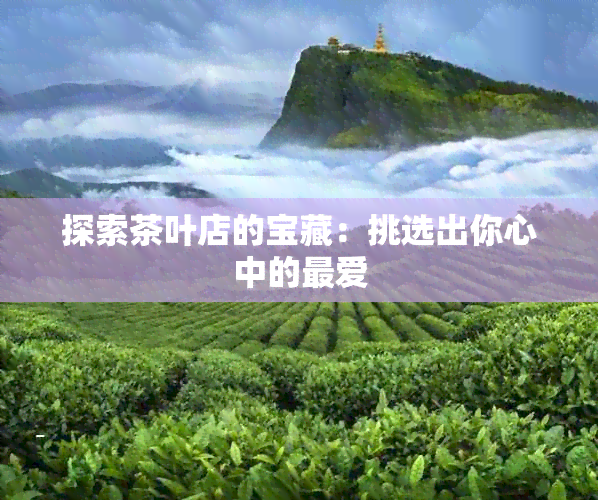 探索茶叶店的宝藏：挑选出你心中的更爱