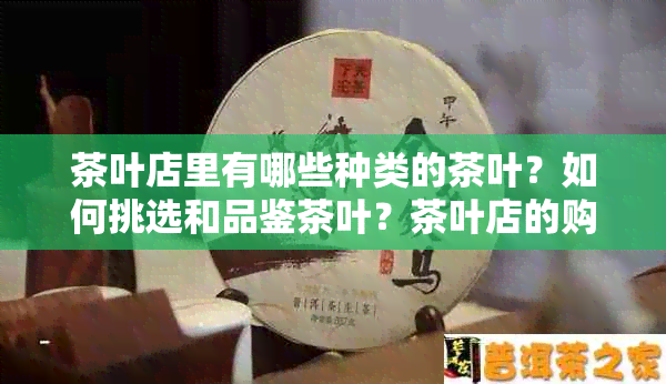 茶叶店里有哪些种类的茶叶？如何挑选和品鉴茶叶？茶叶店的购买和泡茶攻略！