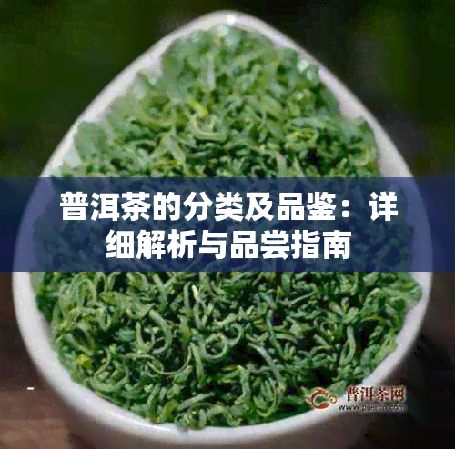 普洱茶的分类及品鉴：详细解析与品尝指南