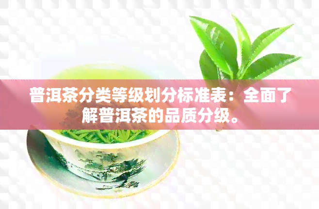 普洱茶分类等级划分标准表：全面了解普洱茶的品质分级。