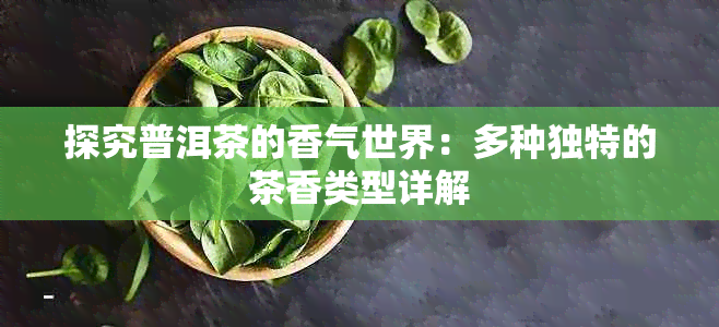 探究普洱茶的香气世界：多种独特的茶香类型详解