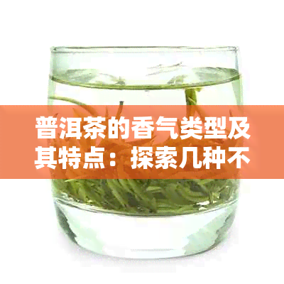 普洱茶的香气类型及其特点：探索几种不常见的茶香