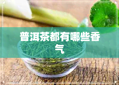 普洱茶都有哪些香气