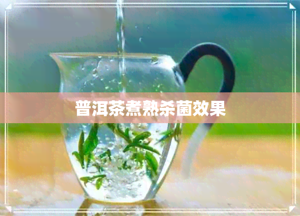 普洱茶煮熟杀菌效果