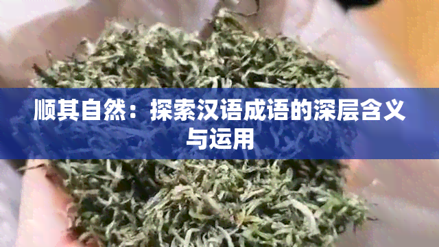 顺其自然：探索汉语成语的深层含义与运用