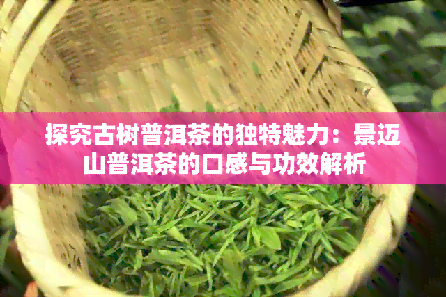 探究古树普洱茶的独特魅力：景迈山普洱茶的口感与功效解析