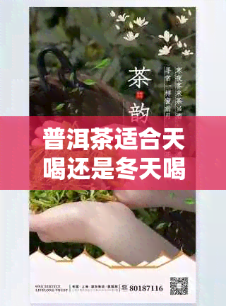 普洱茶适合天喝还是冬天喝：哪个节更适合品饮普洱茶？