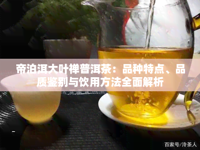 帝泊洱大叶禅普洱茶：品种特点、品质鉴别与饮用方法全面解析