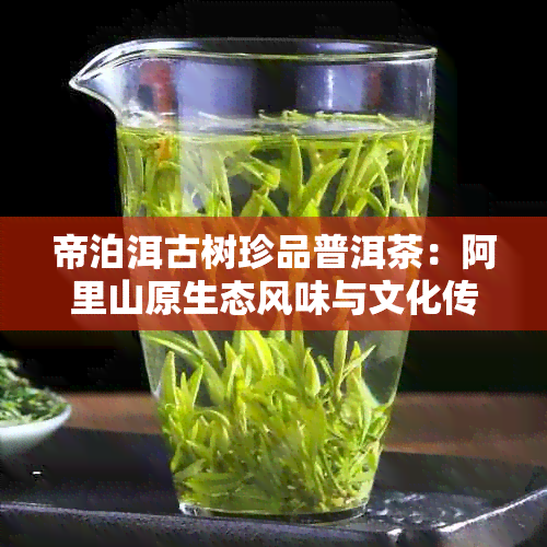 帝泊洱古树珍品普洱茶：阿里山原生态风味与文化传承的完美融合