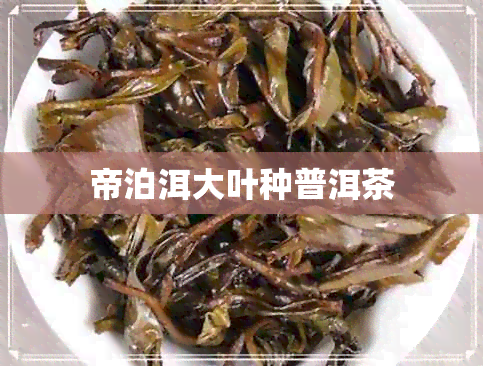 帝泊洱大叶种普洱茶