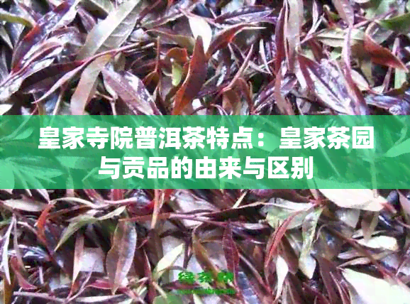 皇家寺院普洱茶特点：皇家茶园与贡品的由来与区别