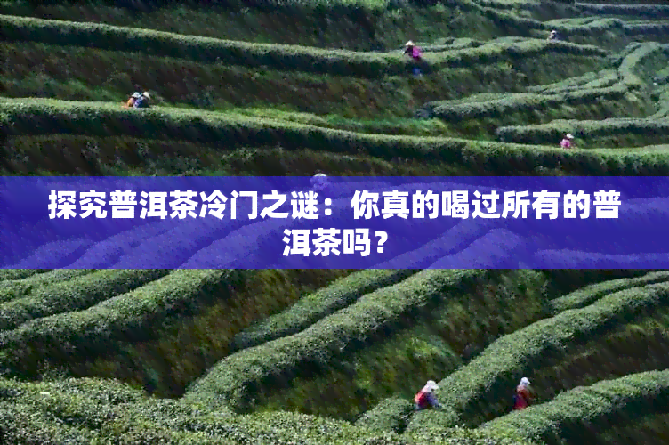 探究普洱茶冷门之谜：你真的喝过所有的普洱茶吗？