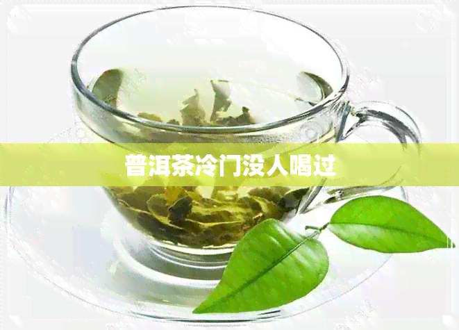 普洱茶冷门没人喝过