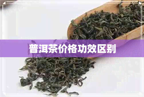 普洱茶价格功效区别