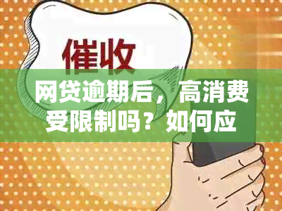 网贷逾期后，高消费受限制吗？如何应对逾期后果及影响？