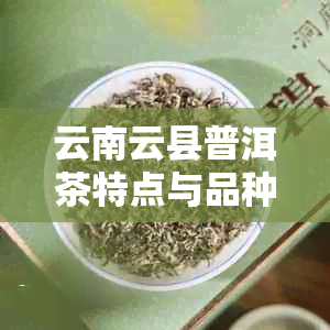 云南云县普洱茶特点与品种：产区、品质及茶厂全面解析