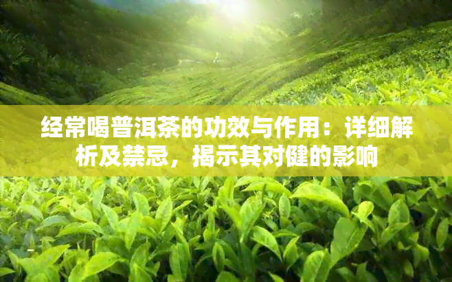 经常喝普洱茶的功效与作用：详细解析及禁忌，揭示其对健的影响