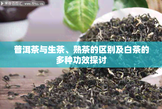 普洱茶与生茶、熟茶的区别及白茶的多种功效探讨