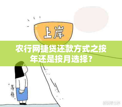 农行网捷贷还款方式之按年还是按月选择？