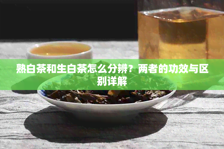 熟白茶和生白茶怎么分辨？两者的功效与区别详解