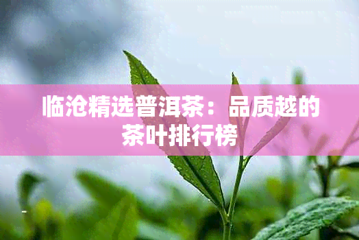 临沧精选普洱茶：品质越的茶叶排行榜