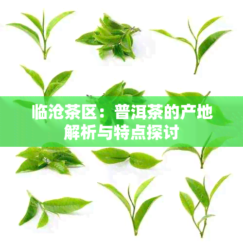 临沧茶区：普洱茶的产地解析与特点探讨