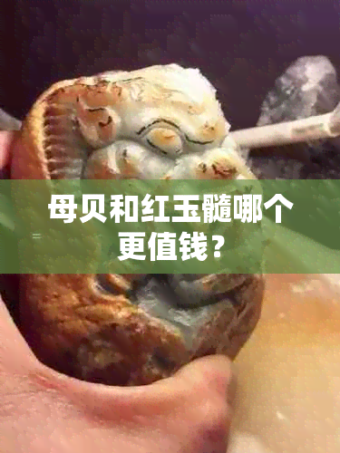 母贝和红玉髓哪个更值钱？