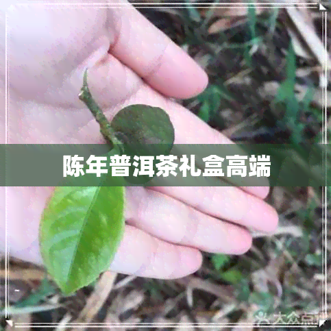 陈年普洱茶礼盒高端