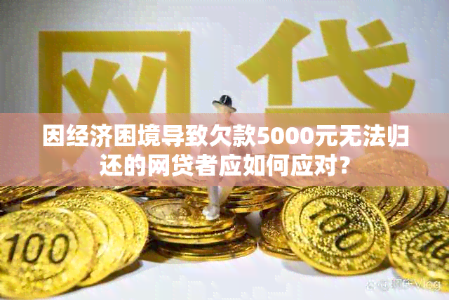 因经济困境导致欠款5000元无法归还的网贷者应如何应对？