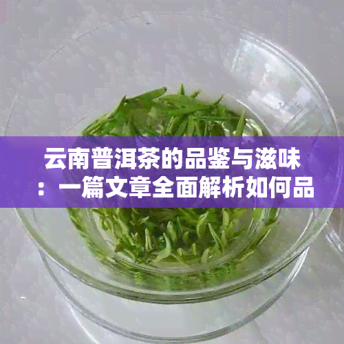 云南普洱茶的品鉴与滋味：一篇文章全面解析如何品尝和欣普洱茶的风味