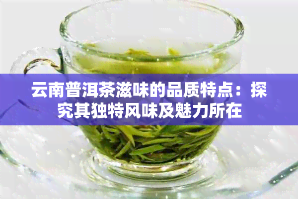 云南普洱茶滋味的品质特点：探究其独特风味及魅力所在