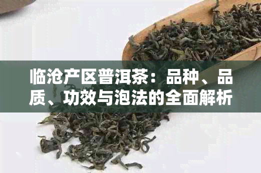 临沧产区普洱茶：品种、品质、功效与泡法的全面解析