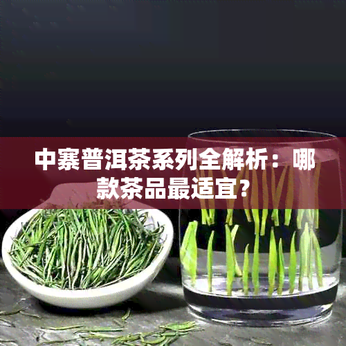 中寨普洱茶系列全解析：哪款茶品最适宜？