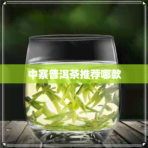 中寨普洱茶推荐哪款