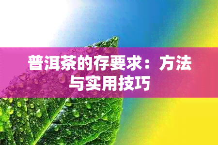 普洱茶的存要求：方法与实用技巧