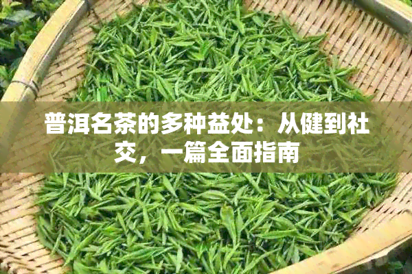 普洱名茶的多种益处：从健到社交，一篇全面指南