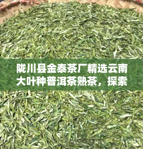 陇川县金泰茶厂精选云南大叶种普洱茶熟茶，探索传统制茶工艺的魅力