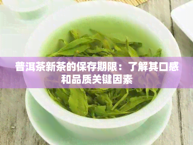 普洱茶新茶的保存期限：了解其口感和品质关键因素