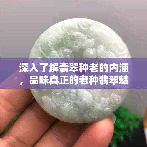 深入了解翡翠种老的内涵，品味真正的老种翡翠魅力