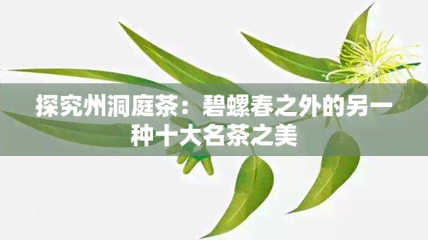 探究州洞庭茶：碧螺春之外的另一种十大名茶之美