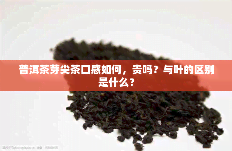 普洱茶芽尖茶口感如何，贵吗？与叶的区别是什么？